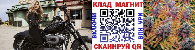 Виды наркоты Берёзовский Марихуана  КОКАИН  Метадон  Меф  ГАШИШ  A-PVP  АМФЕТАМИН 