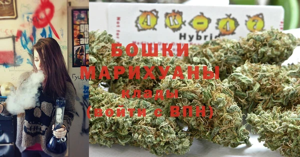 ECSTASY Пересвет
