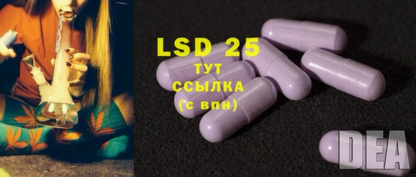 ECSTASY Пересвет